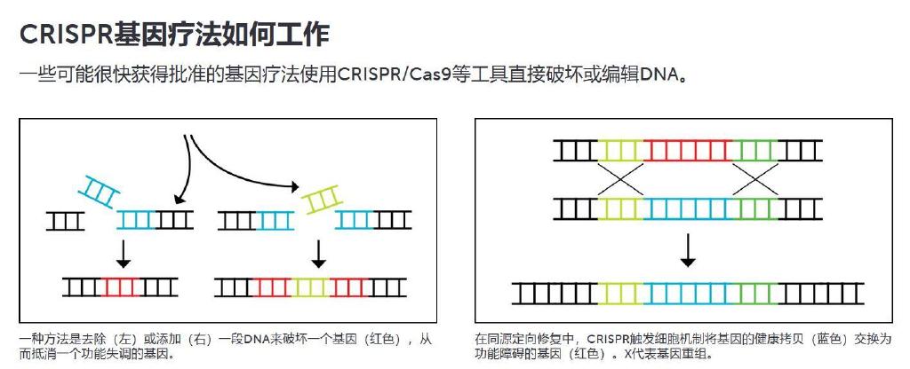 当今大多数基因疗法依赖于病毒